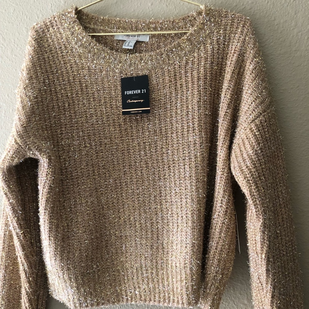 Cute shimmery sweater (for ever21)